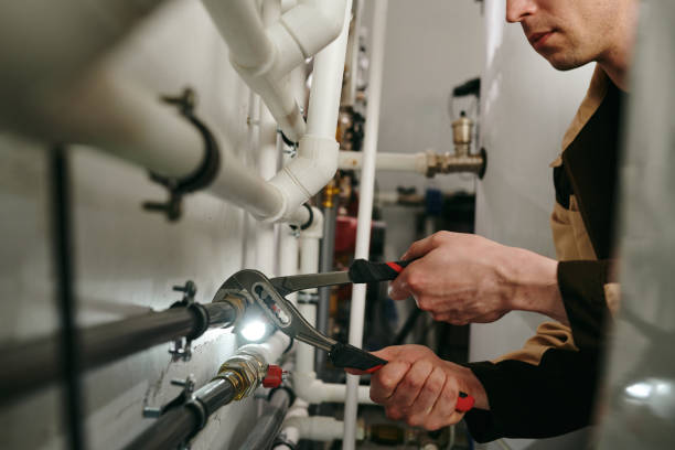 Best Affordable Plumbing Services  in South Bend, IN