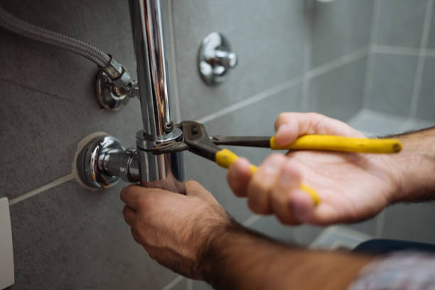 Best Residential Plumbing Services  in South Bend, IN